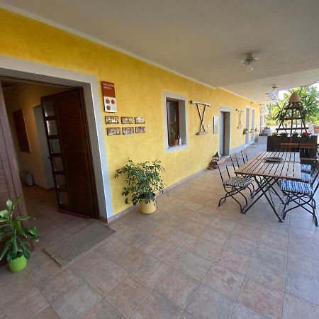 קופר Med Oljkami Apartment מראה חיצוני תמונה