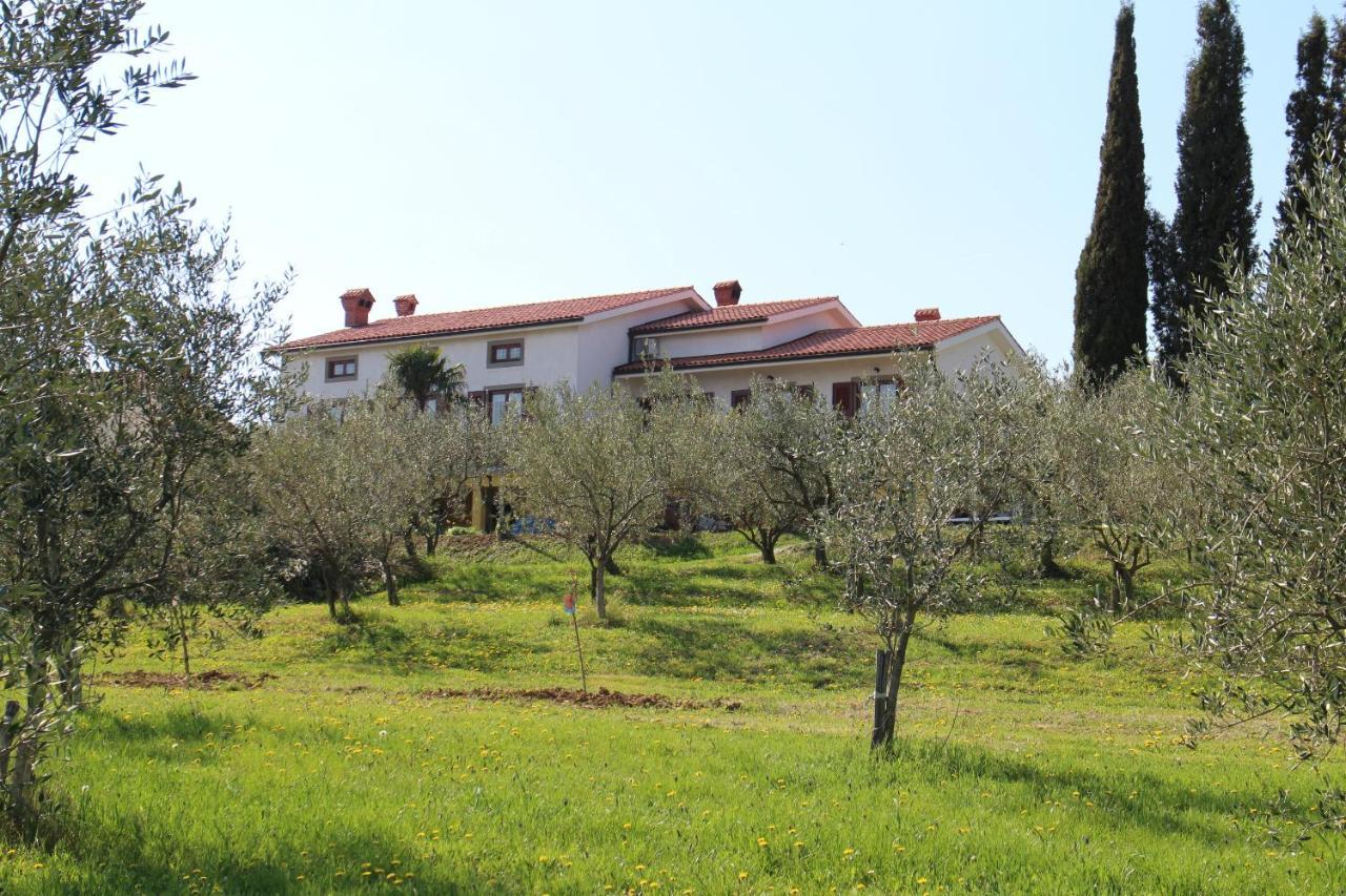קופר Med Oljkami Apartment מראה חיצוני תמונה